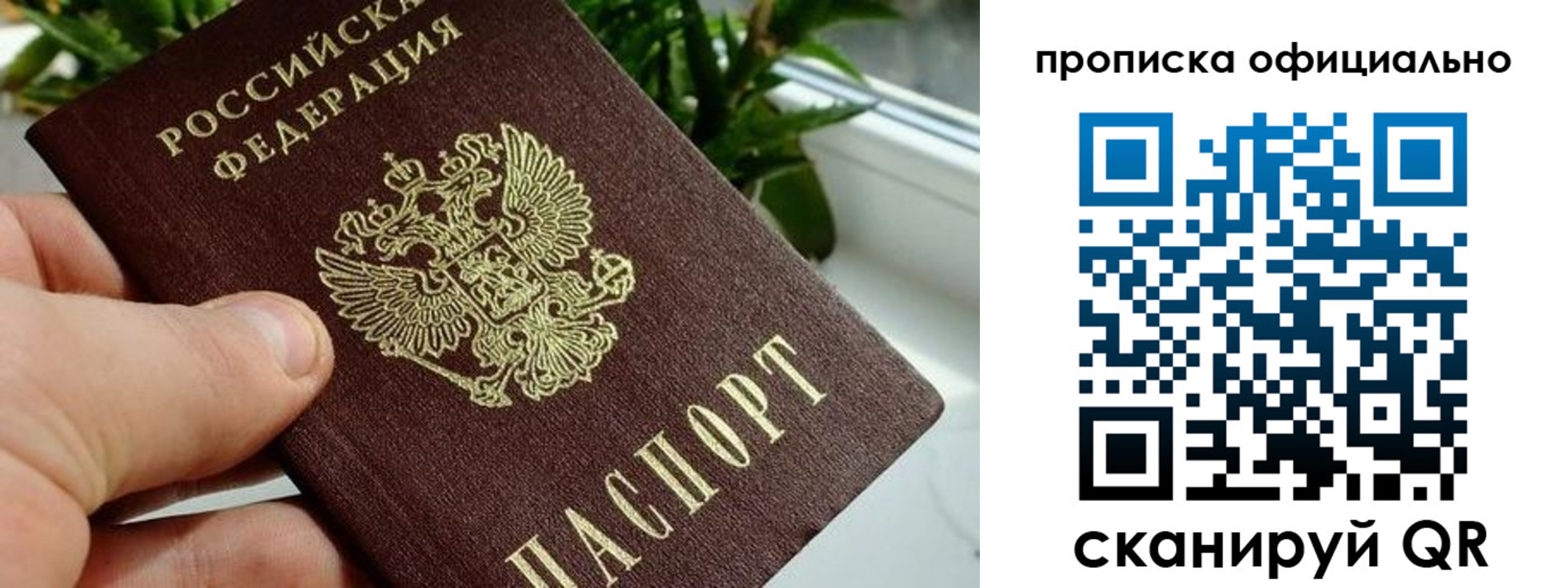 прописка поиск в Луховицах